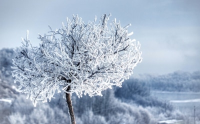 27 января: какие праздники отмечают в этот день