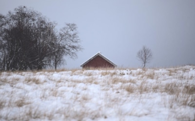 31 января: какие праздники отмечают в этот день