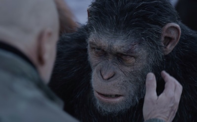 Хронология фильмов серии «Планета обезьян»: в каком порядке идут события