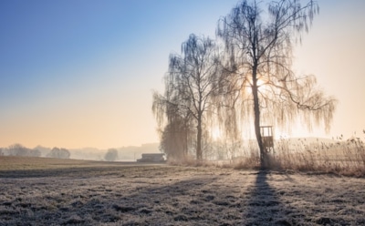 3 февраля: какие праздники отмечают в этот день