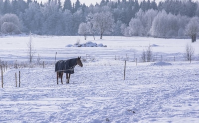 4 февраля: какие праздники отмечают в этот день