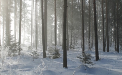 10 февраля: какие праздники отмечают в этот день