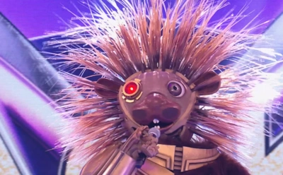 Билан или Чумаков: догадки и версии, кто же скрывается за маской Дикобраза