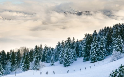 15 февраля: какие праздники отмечают в этот день