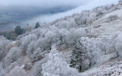 18 февраля: какие праздники отмечают в этот день