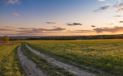 Лето не за горами: какая погода ждет нас в мае 2023-го