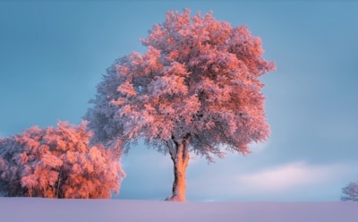 21 февраля: какие праздники отмечают в этот день