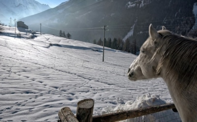 22 февраля: какие праздники отмечают в этот день
