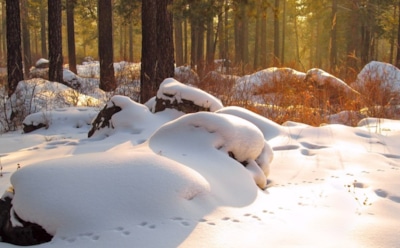 23 февраля: какие праздники отмечают в этот день