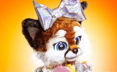 В шоу «Маска» раскрыли Лисенка