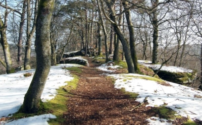 1 марта: какие праздники отмечают в этот день