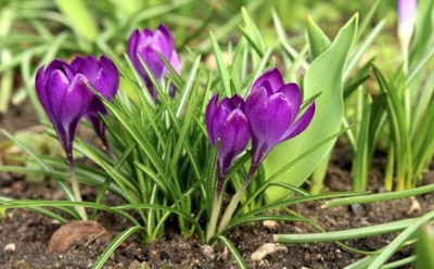 2 марта: какие праздники отмечают в этот день