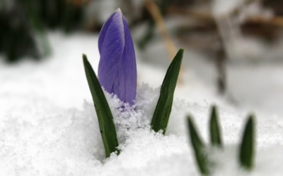 3 марта: какие праздники отмечают в этот день