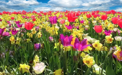 14 марта: какие праздники отмечают в этот день