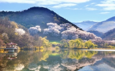 15 марта: какие праздники отмечают в этот день