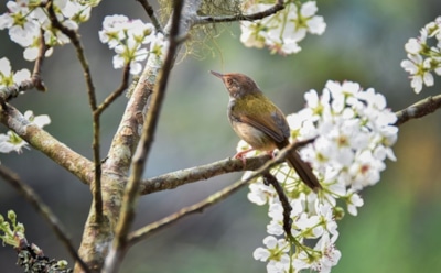 16 марта: какие праздники отмечают в этот день