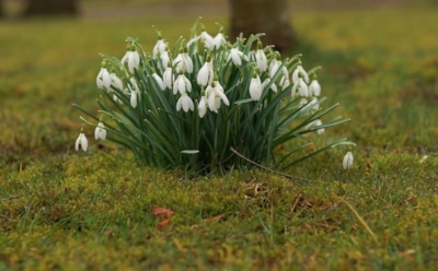 17 марта: какие праздники отмечают в этот день
