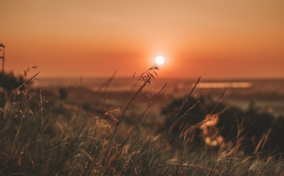 18 марта: какие праздники отмечают в этот день