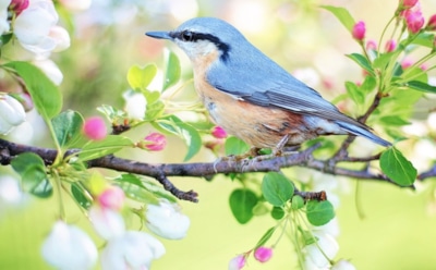 21 марта: какие праздники отмечают в этот день