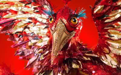 В шоу «Маска» раскрыли Феникса