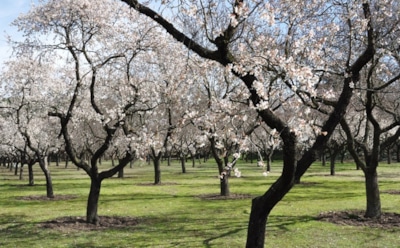 23 марта: какие праздники отмечают в этот день