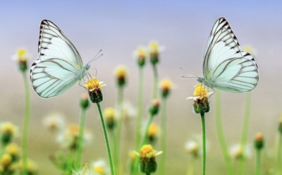 24 марта: какие праздники отмечают в этот день