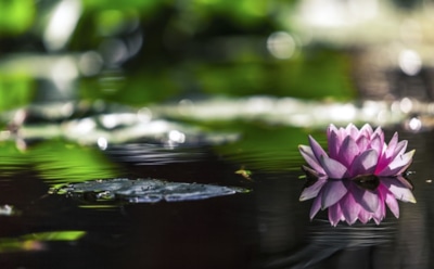 25 марта: какие праздники отмечают в этот день