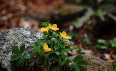 28 марта: какие праздники отмечают в этот день