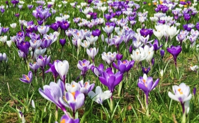 29 марта: какие праздники отмечают в этот день