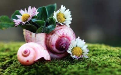 31 марта: какие праздники отмечают в этот день