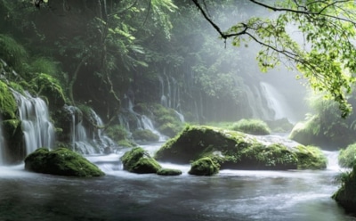 5 апреля: какие праздники отмечают в этот день