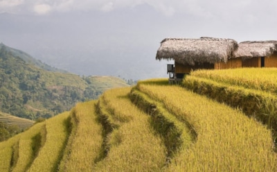 6 апреля: какие праздники отмечают в этот день