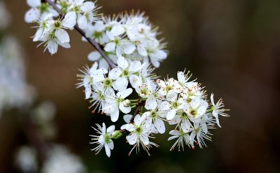 13 апреля: какие праздники отмечают в этот день