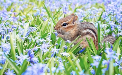 14 апреля: какие праздники отмечают в этот день