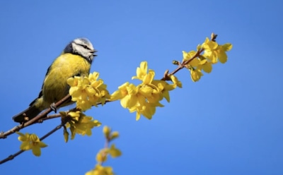 18 апреля: какие праздники отмечают в этот день