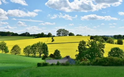 26 апреля: какие праздники отмечают в этот день