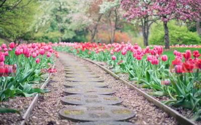 28 апреля: какие праздники отмечают в этот день