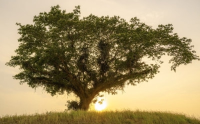 11 мая: какие праздники отмечают в этот день