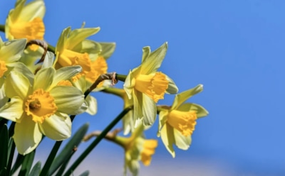 17 мая: какие праздники отмечают в этот день