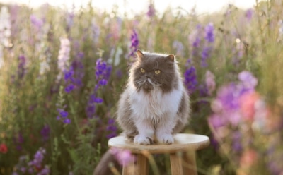 19 мая: какие праздники отмечают в этот день