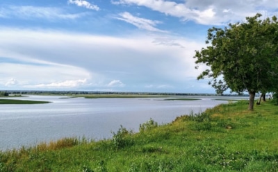 20 мая: какие праздники отмечают в этот день