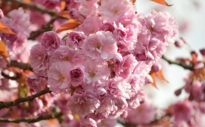 24 мая: какие праздники отмечают в этот день