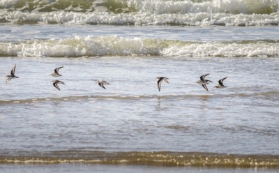 25 мая: какие праздники отмечают в этот день