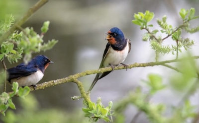 1 июня: какие праздники отмечают в этот день