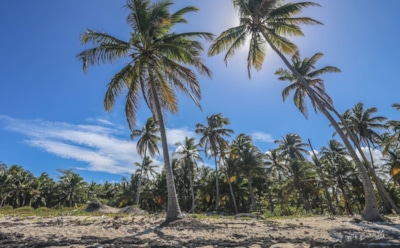 9 июня: какие праздники отмечают в этот день