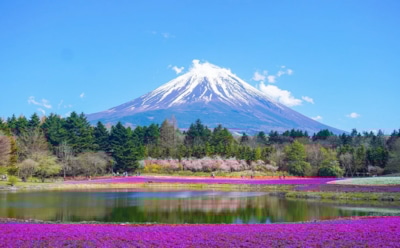 17 июня: какие праздники отмечают в этот день