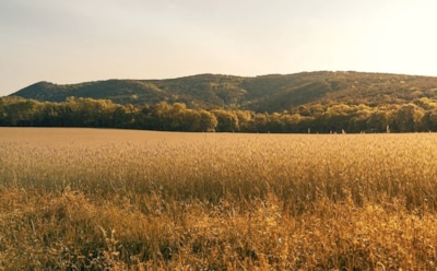 21 июня: какие праздники отмечают в этот день