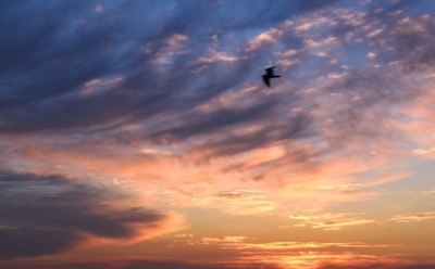 13 июля: какие праздники отмечают в этот день