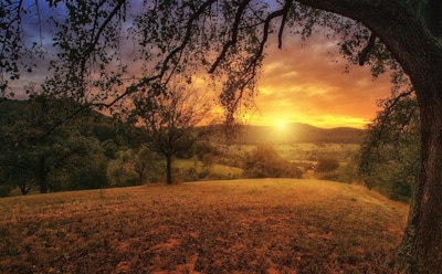 22 июля: какие праздники отмечают в этот день