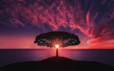 25 июля: какие праздники отмечают в этот день